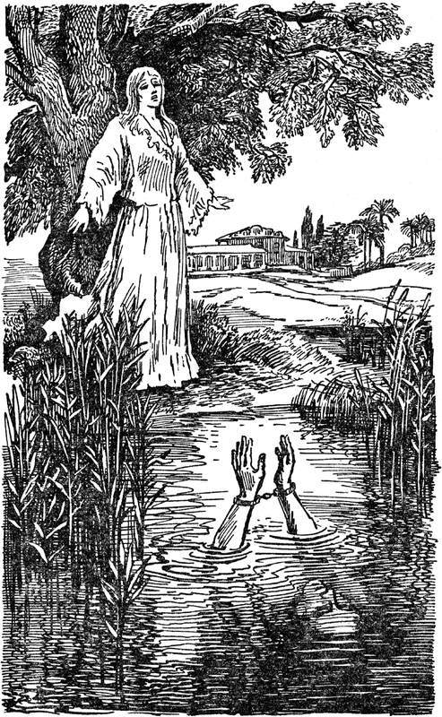 Человек-амфибия. Голова профессора Доуэля. Остров погибших кораблей(Научно-фантастические романы) - i_014.jpg