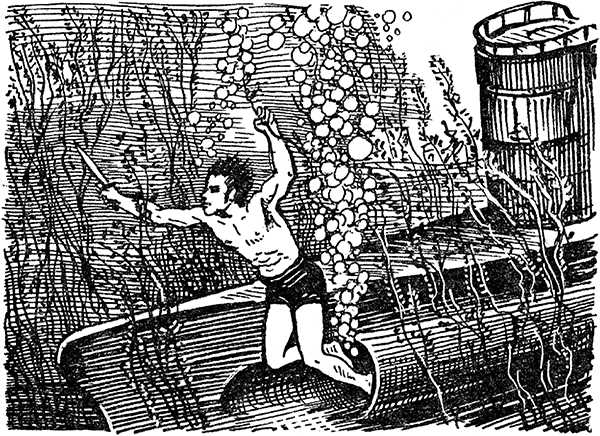 Человек-амфибия. Голова профессора Доуэля. Остров погибших кораблей(Научно-фантастические романы) - i_035.png