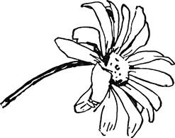 Девять возвращений [Повести и рассказы] - i_033.png