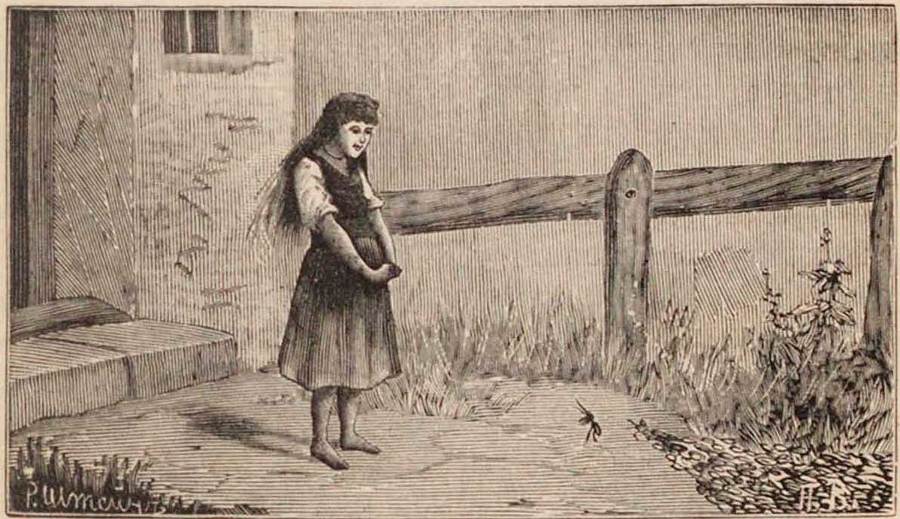 Сказки гор и ручьёв - _8.jpg