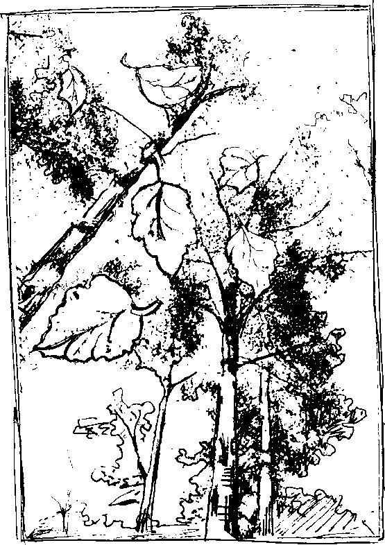 Забытые воспоминания… Стихи - i_001.jpg