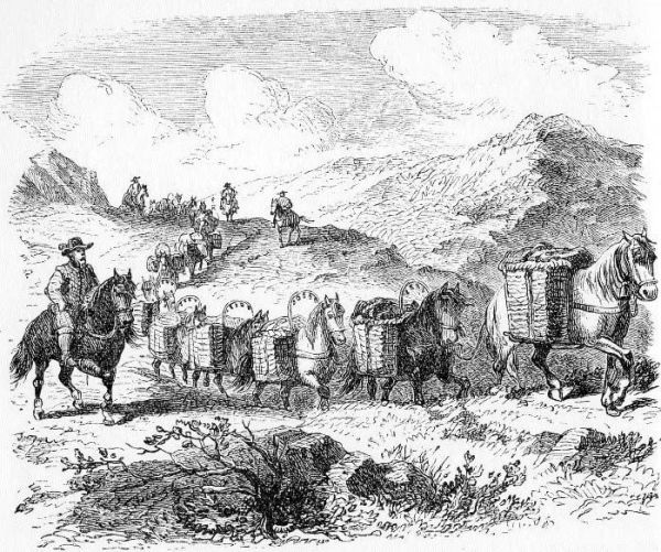 Энергия. История человечества - i_016.jpg