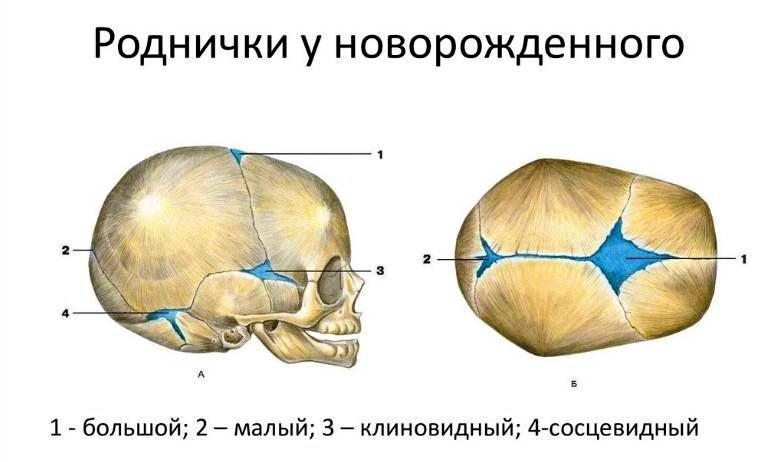 Мой сын, аспергер - _1.jpg