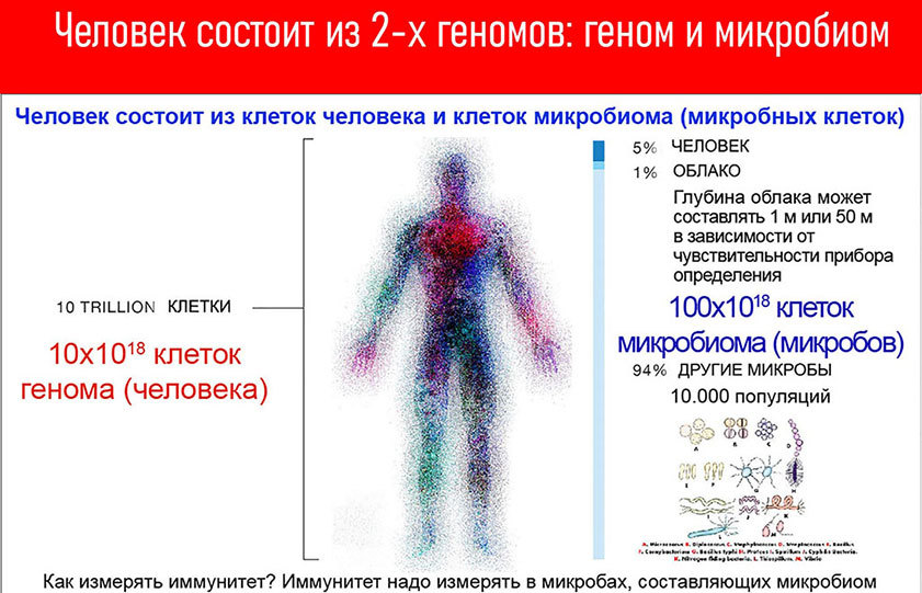 Микробиом. Зачем микробы живут в человеке? - i_006.jpg