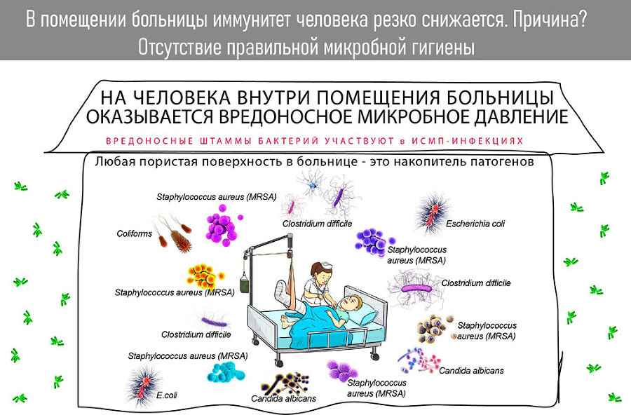 Микробиом. Зачем микробы живут в человеке? - i_008.jpg