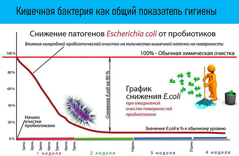 Микробиом. Зачем микробы живут в человеке? - i_027.jpg