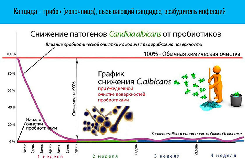 Микробиом. Зачем микробы живут в человеке? - i_030.jpg