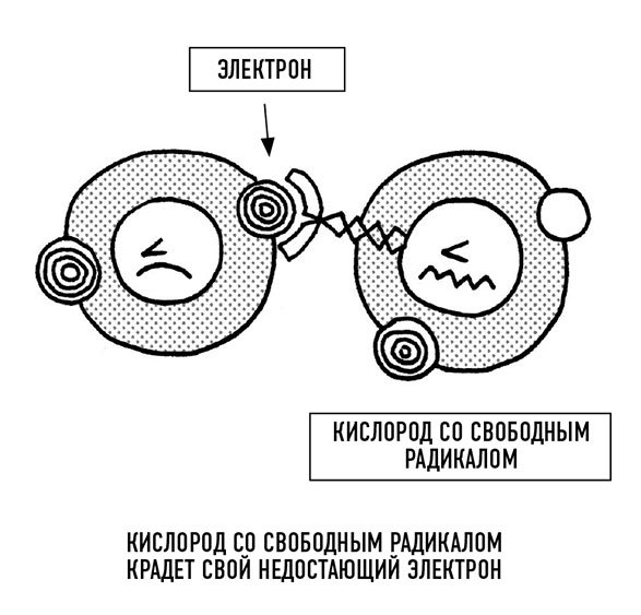 Витамины и БАДы. Фармацевт об их пользе и вреде - i_006.jpg