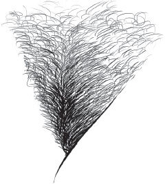 Старше, но лучше. Искусство взрослеть, не старея - i_002.jpg