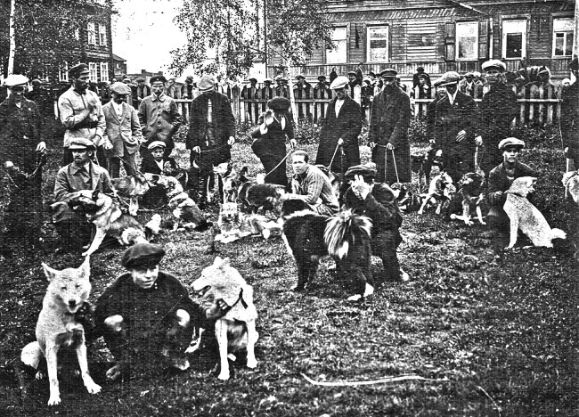 Тимур и его команда. Все произведения для детей - i_034.jpg