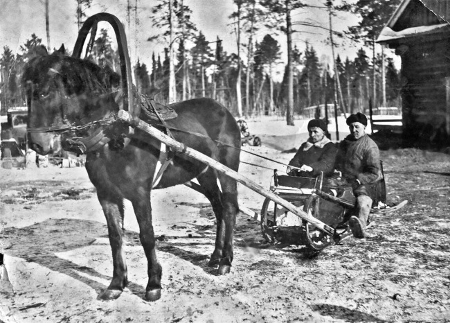 Тимур и его команда. Все произведения для детей - i_035.jpg