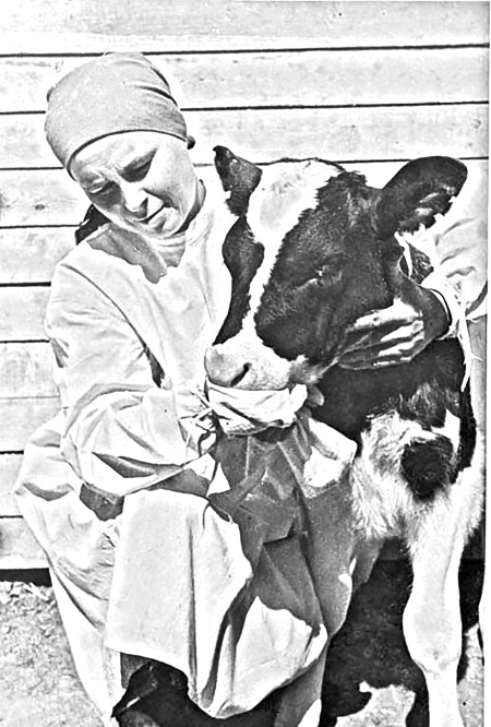 Тимур и его команда. Все произведения для детей - i_039.jpg