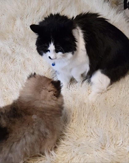 Сборник рассказов и сказок - _4.jpg