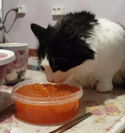 Сборник рассказов и сказок - _1.jpg