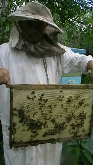 Немного о пчёлах в подсказку пчеловодам - _7.jpg