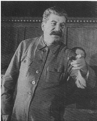 Сталин и речной флот Советского Союза - i_001.jpg