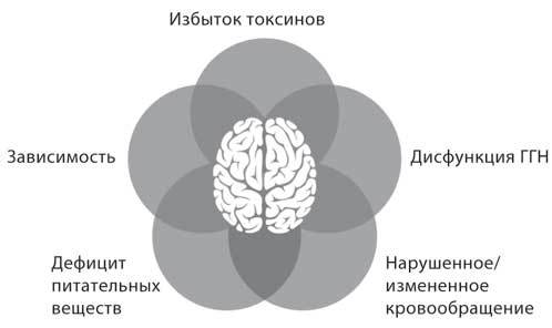 Биохакинг с умом: 8 граней полноценной жизни. Как стать здоровой, молодой и энергичной за 40 дней - i_003.jpg