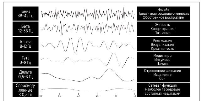 Нейробиология роста. Как запрограммировать свой мозг на обучение новым навыкам - i_008.jpg