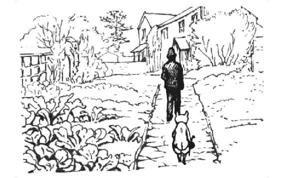 The Classic Tales. Volume V - _76.jpg