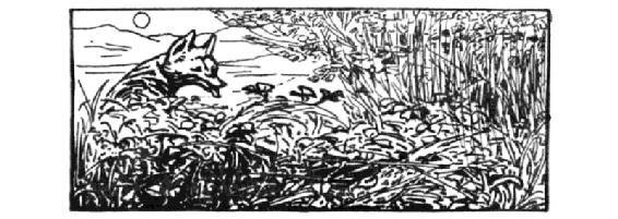 The Classic Tales. Volume V - _29.jpg