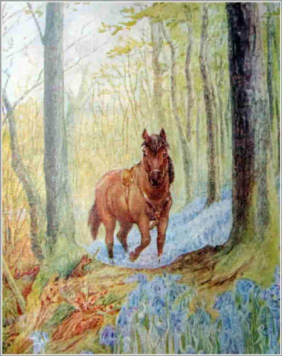 The Classic Tales. Volume VI - _111.jpg