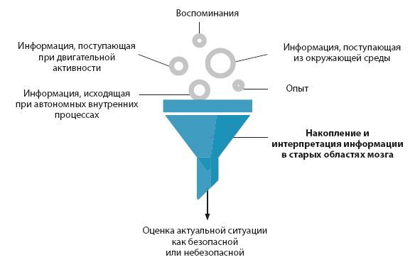 Настройка системы тело–мозг. Простые упражнения для активации блуждающего нерва против депрессии, стресса, боли в теле и проблем с пищеварением - i_003.jpg