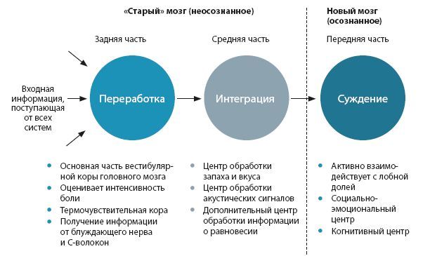 Настройка системы тело–мозг. Простые упражнения для активации блуждающего нерва против депрессии, стресса, боли в теле и проблем с пищеварением - i_007.jpg