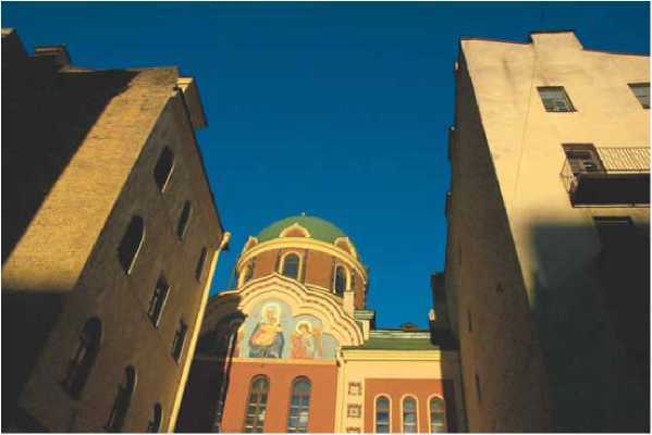 Соты бытия. Автобиографические заметки - i_005.jpg