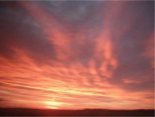 Соты бытия. Автобиографические заметки - i_008.jpg