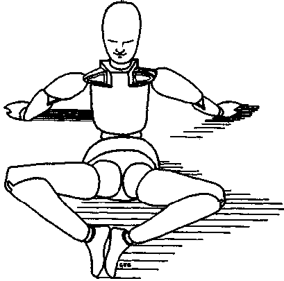 Сознавание через движение: двенадцать практических уроков - image001.png