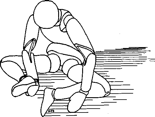 Сознавание через движение: двенадцать практических уроков - image006.png