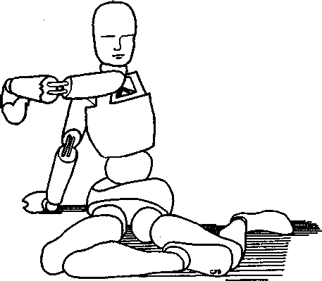 Сознавание через движение: двенадцать практических уроков - image012.png