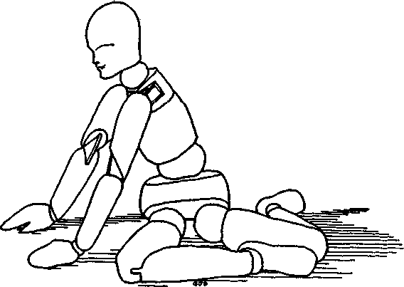 Сознавание через движение: двенадцать практических уроков - image014.png