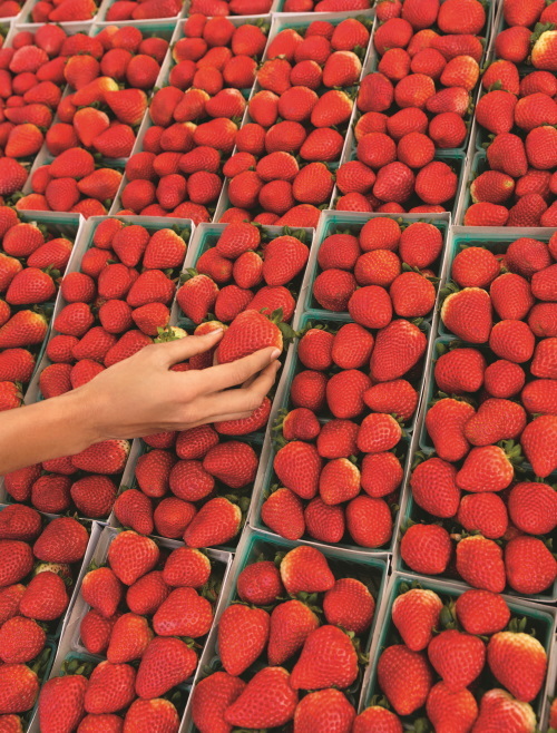 Книга о естественной красоте. Твой личный бьюти-куратор Гвинет Пэлтроу - i_008.jpg