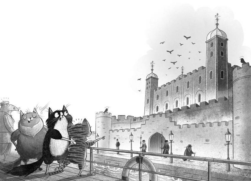 Загадочное похищение - i_012.jpg