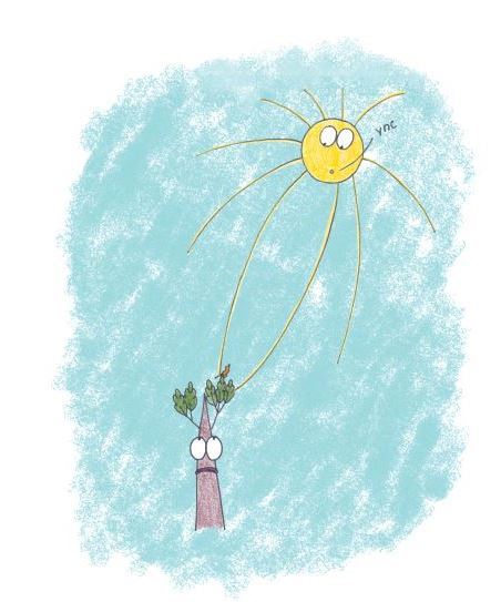 Детские сказки о растениях. Сборник - _4.jpg