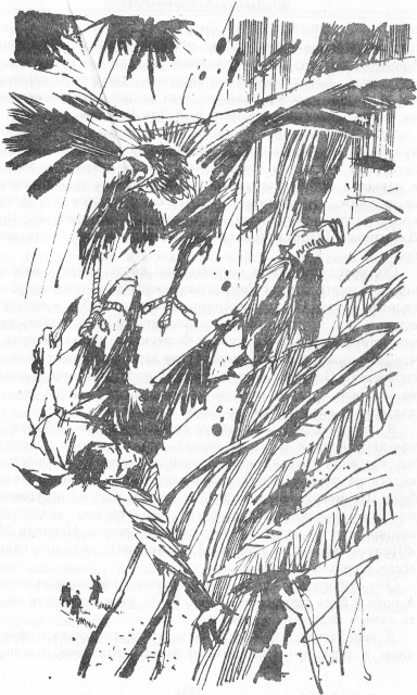 Повелитель деревьев (Мемуары Лорда Грандрита - 10) - Str.341.jpg