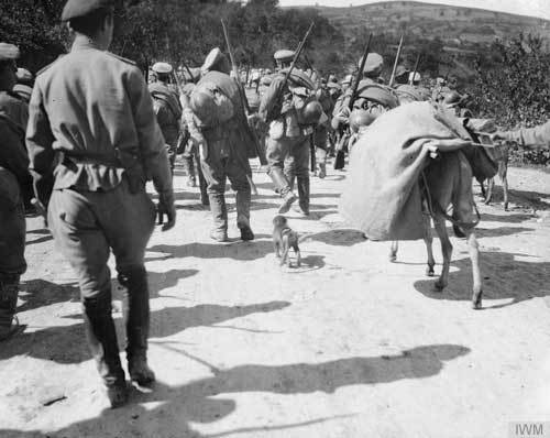 Неожиданная Россия. XX век (СИ) - i_013.jpg