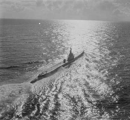 Неожиданная Россия. XX век (СИ) - i_146.jpg