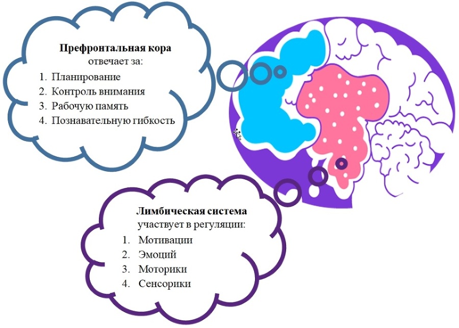 Прокрастинация? Выход есть - _9.jpg