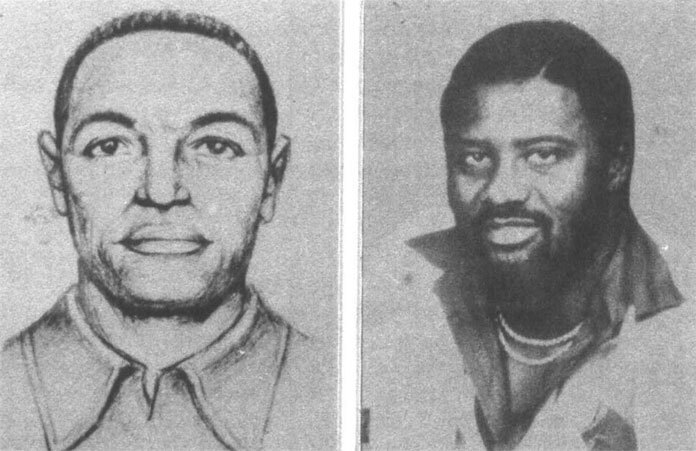 Сексуальные маньяки. Психологические портреты и мотивы - i_022.jpg