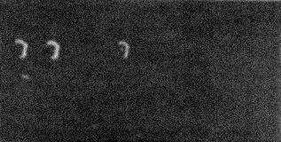 Космоземные связи и НЛО - seria.jpg