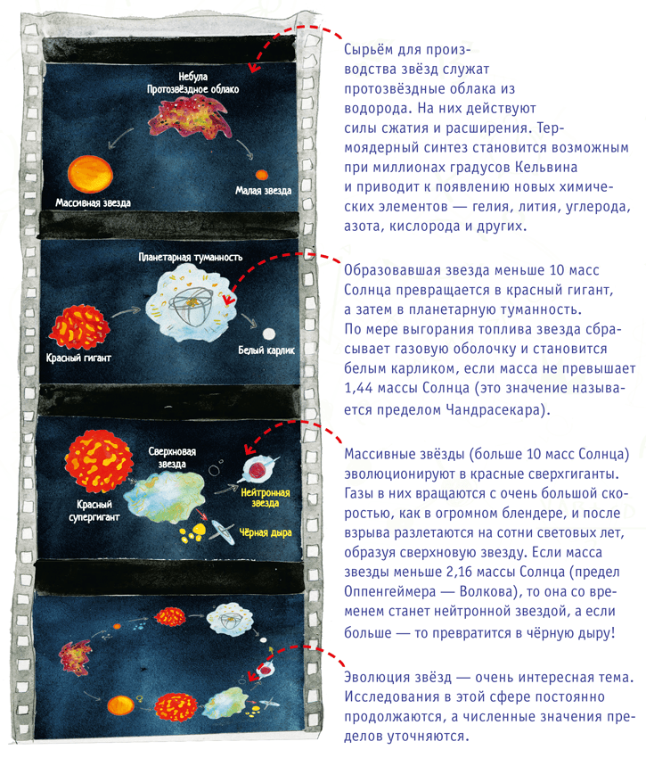 Наука для детей. Как издать научный журнал, если ты Енот - i_015.png