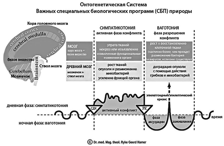 Детская психосоматика. Как помочь вашему ребенку? Инструкции для счастливых родителей - i_005.jpg
