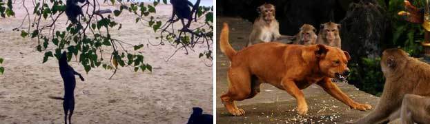 Античная наркомафия - 9 (СИ) - i_133.jpg