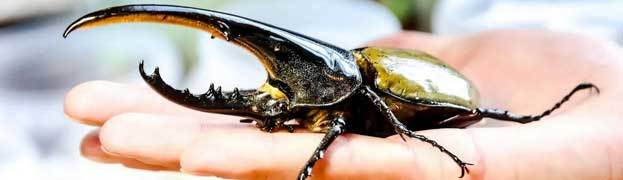 Античная наркомафия - 9 (СИ) - i_176.jpg