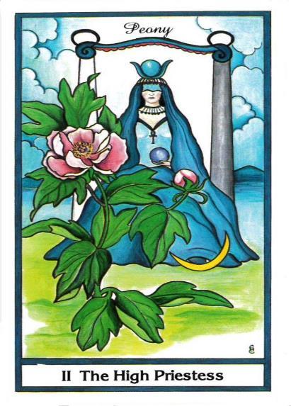 Herramienta de coaching Tarot complementa tu plan de accion - _5.jpg