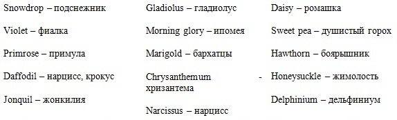 Английский язык для флористов - _32.jpg