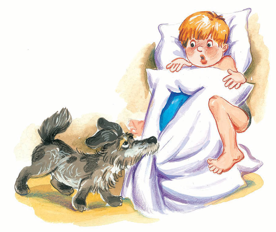 Сплошные чудеса - i_022.jpg