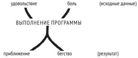 Психология эволюции. Руководство по освобождению от запрограммированного поведения - i_003.png